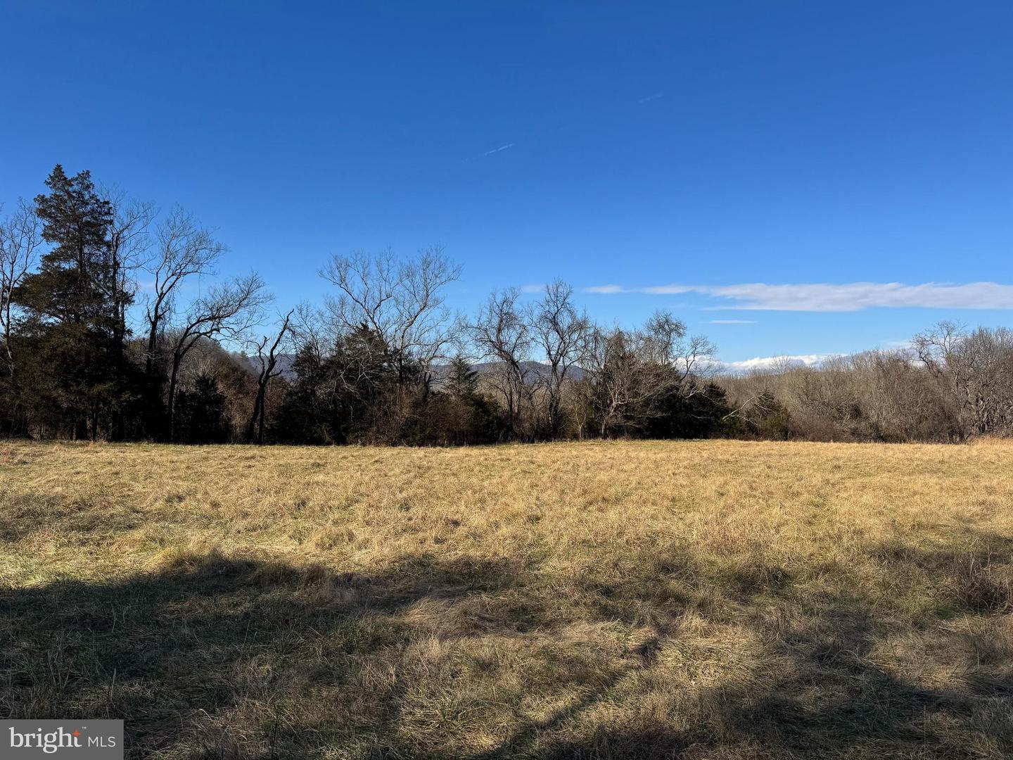 326 THUNDERBIRD RD, BENTONVILLE, Virginia 22610, ,Farm,For Sale,326 THUNDERBIRD RD,VAWR2013164 MLS # VAWR2013164 326 THUNDERBIRD RD, BENTONVILLE, Virginia 22610, ,Farm,For Sale,326 THUNDERBIRD RD,VAWR2013164 MLS # VAWR2013164