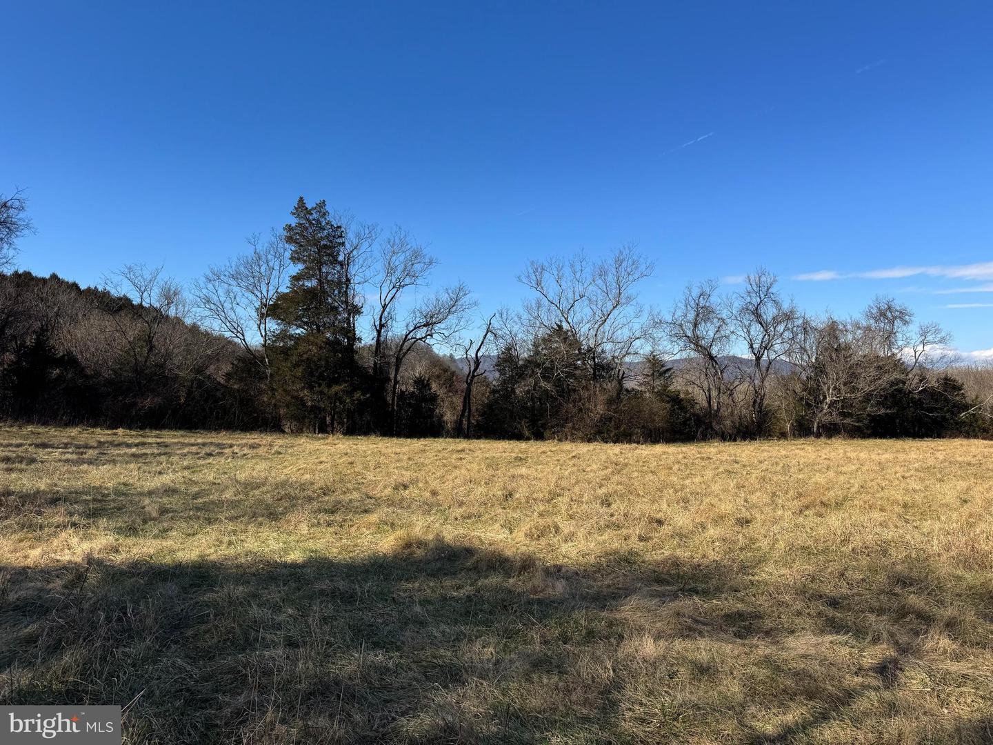 326 THUNDERBIRD RD, BENTONVILLE, Virginia 22610, ,Farm,For Sale,326 THUNDERBIRD RD,VAWR2013164 MLS # VAWR2013164 326 THUNDERBIRD RD, BENTONVILLE, Virginia 22610, ,Farm,For Sale,326 THUNDERBIRD RD,VAWR2013164 MLS # VAWR2013164
