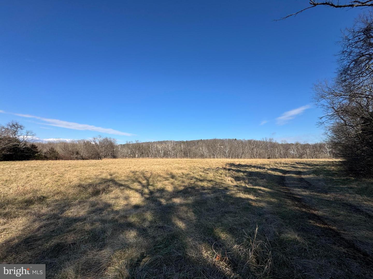326 THUNDERBIRD RD, BENTONVILLE, Virginia 22610, ,Farm,For Sale,326 THUNDERBIRD RD,VAWR2013164 MLS # VAWR2013164 326 THUNDERBIRD RD, BENTONVILLE, Virginia 22610, ,Farm,For Sale,326 THUNDERBIRD RD,VAWR2013164 MLS # VAWR2013164
