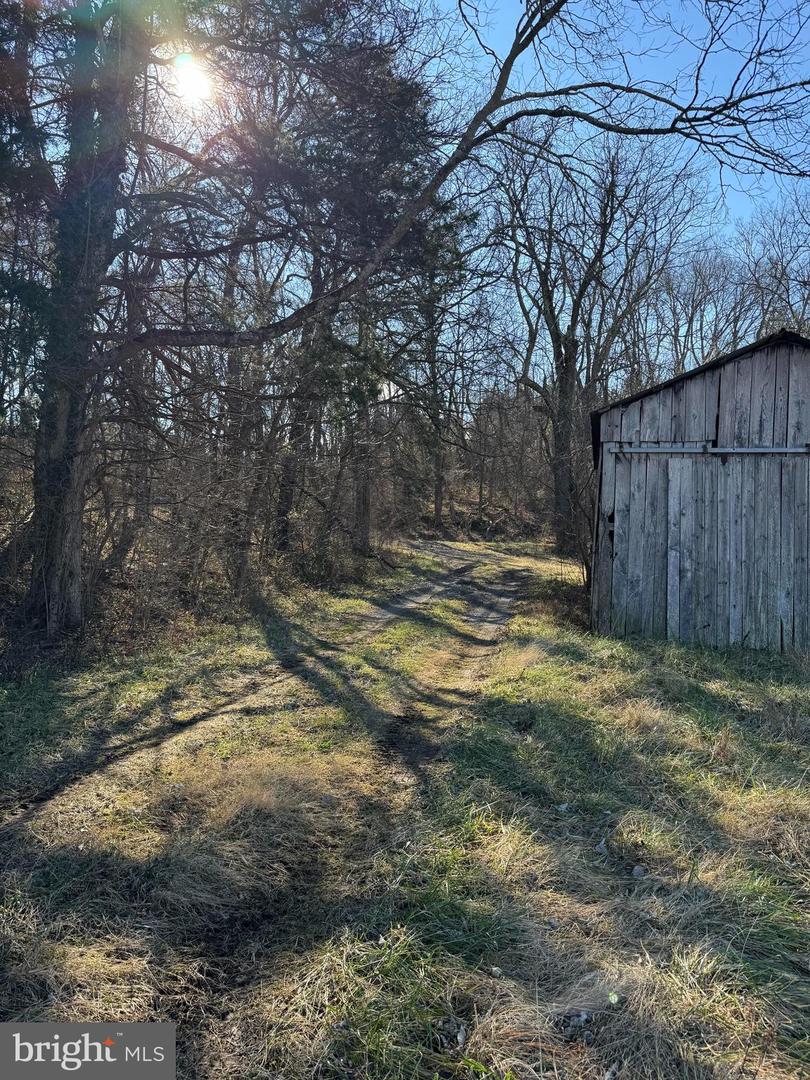 326 THUNDERBIRD RD, BENTONVILLE, Virginia 22610, ,Farm,For Sale,326 THUNDERBIRD RD,VAWR2013164 MLS # VAWR2013164 326 THUNDERBIRD RD, BENTONVILLE, Virginia 22610, ,Farm,For Sale,326 THUNDERBIRD RD,VAWR2013164 MLS # VAWR2013164