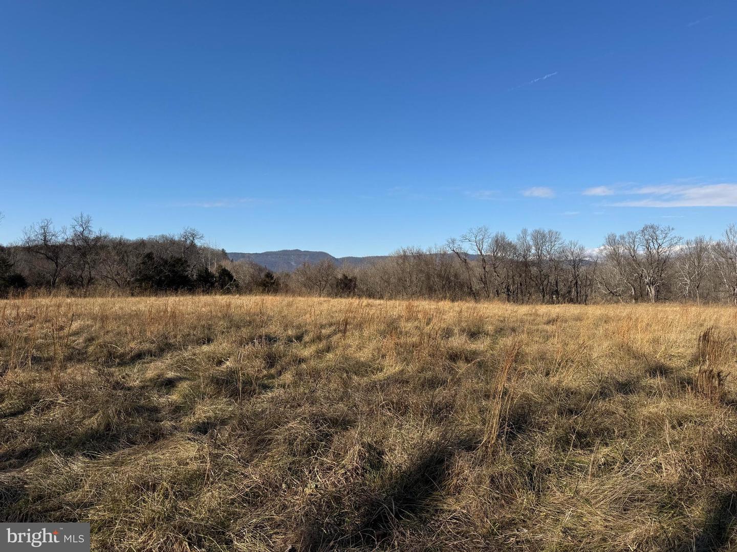 326 THUNDERBIRD RD, BENTONVILLE, Virginia 22610, ,Farm,For Sale,326 THUNDERBIRD RD,VAWR2013164 MLS # VAWR2013164 326 THUNDERBIRD RD, BENTONVILLE, Virginia 22610, ,Farm,For Sale,326 THUNDERBIRD RD,VAWR2013164 MLS # VAWR2013164