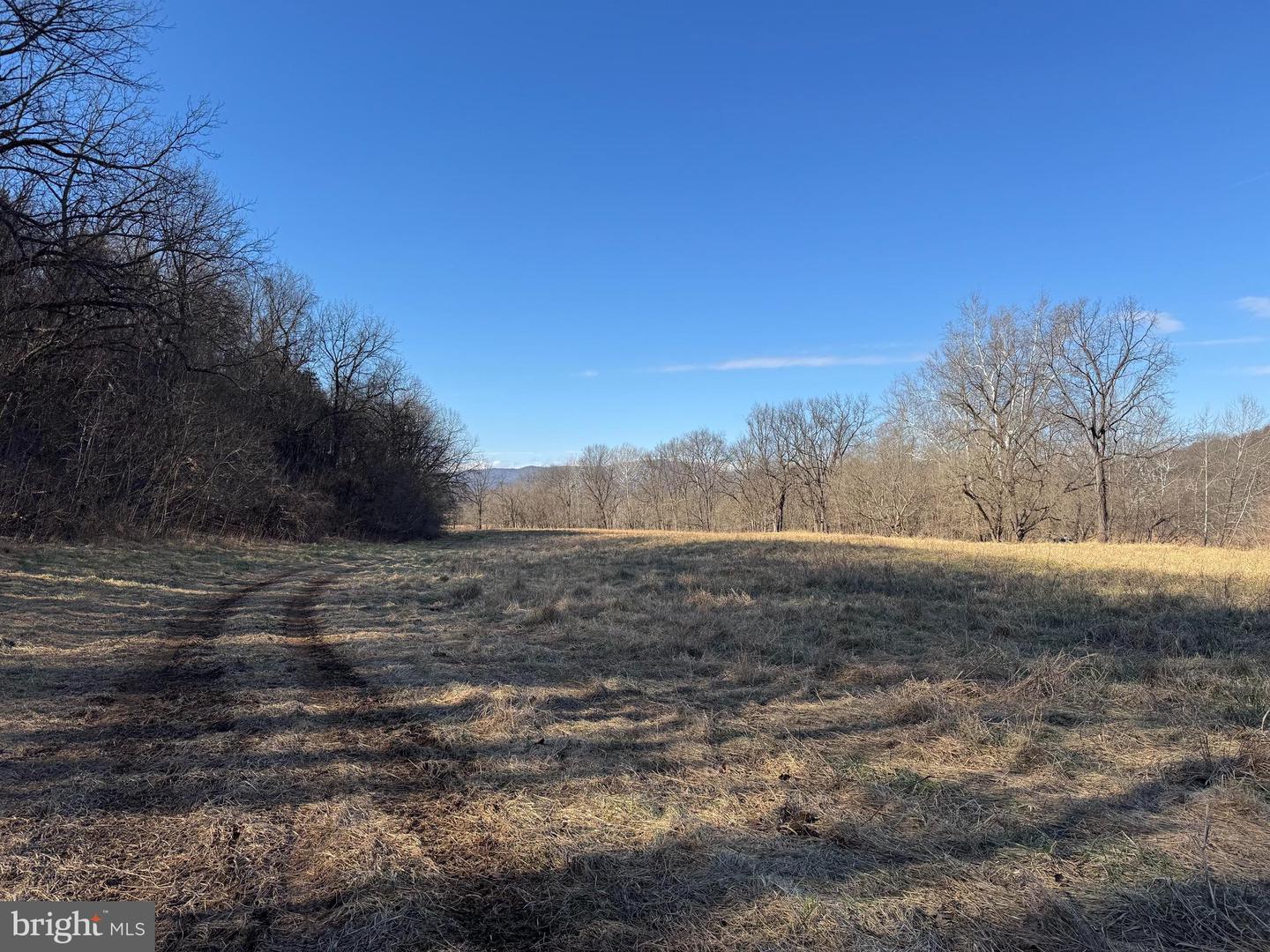 326 THUNDERBIRD RD, BENTONVILLE, Virginia 22610, ,Farm,For Sale,326 THUNDERBIRD RD,VAWR2013164 MLS # VAWR2013164 326 THUNDERBIRD RD, BENTONVILLE, Virginia 22610, ,Farm,For Sale,326 THUNDERBIRD RD,VAWR2013164 MLS # VAWR2013164