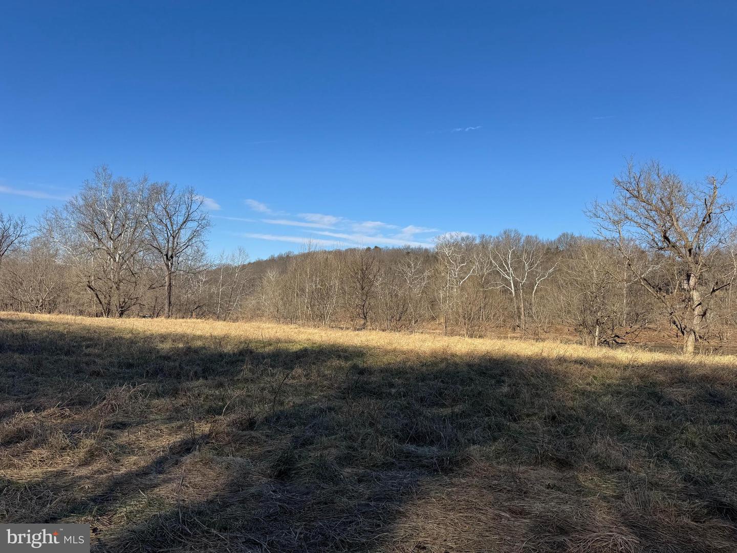 326 THUNDERBIRD RD, BENTONVILLE, Virginia 22610, ,Farm,For Sale,326 THUNDERBIRD RD,VAWR2013164 MLS # VAWR2013164 326 THUNDERBIRD RD, BENTONVILLE, Virginia 22610, ,Farm,For Sale,326 THUNDERBIRD RD,VAWR2013164 MLS # VAWR2013164