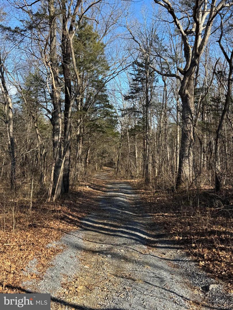 326 THUNDERBIRD RD, BENTONVILLE, Virginia 22610, ,Farm,For Sale,326 THUNDERBIRD RD,VAWR2013164 MLS # VAWR2013164 326 THUNDERBIRD RD, BENTONVILLE, Virginia 22610, ,Farm,For Sale,326 THUNDERBIRD RD,VAWR2013164 MLS # VAWR2013164