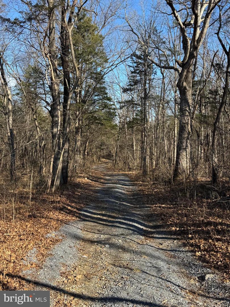 326 THUNDERBIRD RD, BENTONVILLE, Virginia 22610, ,Farm,For Sale,326 THUNDERBIRD RD,VAWR2013164 MLS # VAWR2013164 326 THUNDERBIRD RD, BENTONVILLE, Virginia 22610, ,Farm,For Sale,326 THUNDERBIRD RD,VAWR2013164 MLS # VAWR2013164