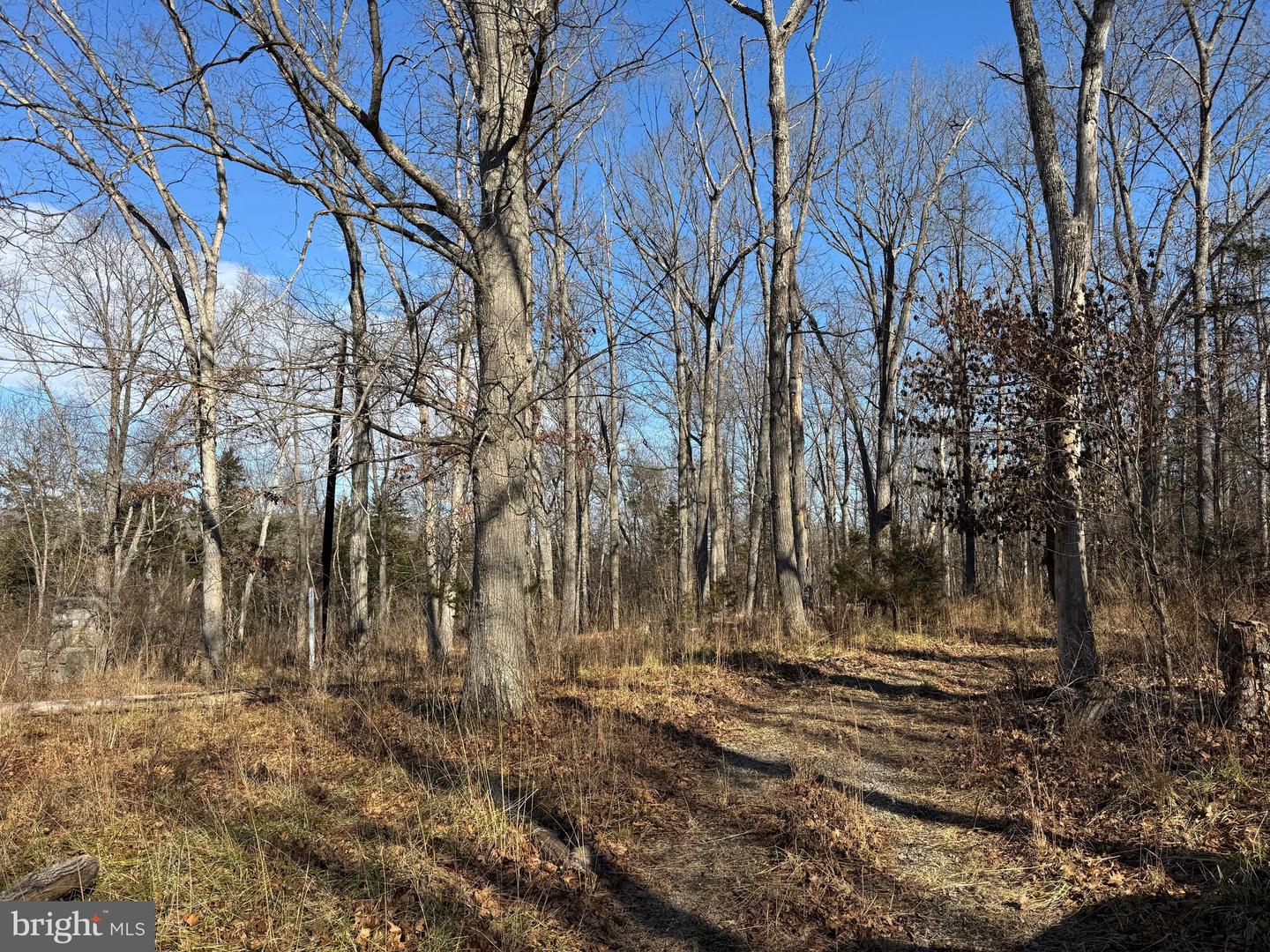 326 THUNDERBIRD RD, BENTONVILLE, Virginia 22610, ,Farm,For Sale,326 THUNDERBIRD RD,VAWR2013164 MLS # VAWR2013164 326 THUNDERBIRD RD, BENTONVILLE, Virginia 22610, ,Farm,For Sale,326 THUNDERBIRD RD,VAWR2013164 MLS # VAWR2013164