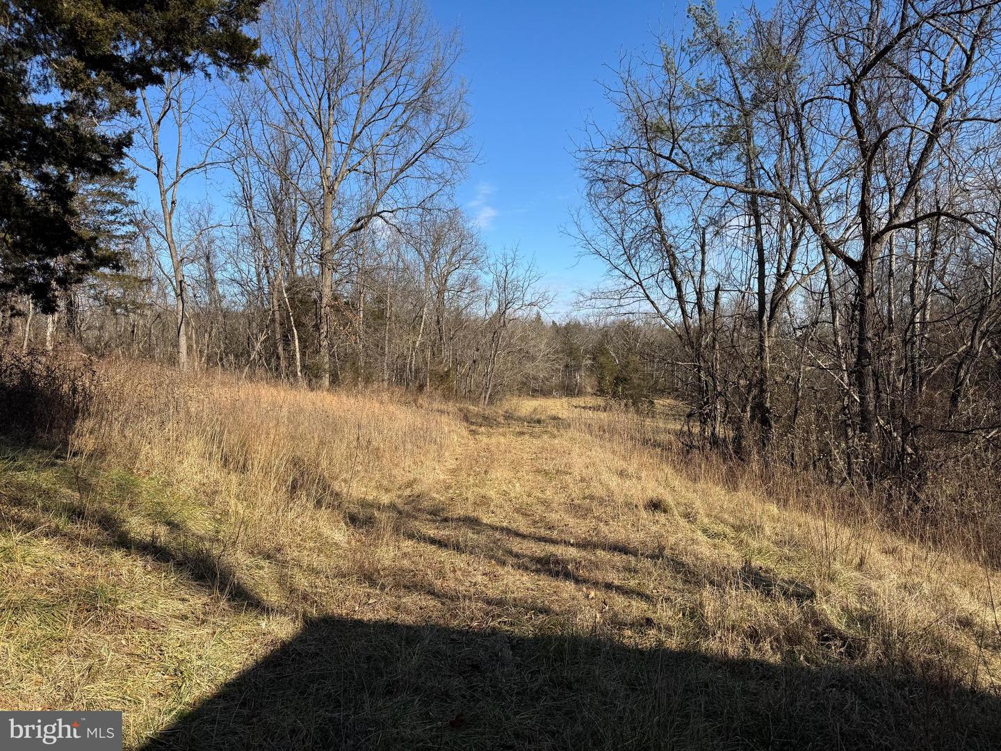 326 THUNDERBIRD RD, BENTONVILLE, Virginia 22610, ,Farm,For Sale,326 THUNDERBIRD RD,VAWR2013164 MLS # VAWR2013164 326 THUNDERBIRD RD, BENTONVILLE, Virginia 22610, ,Farm,For Sale,326 THUNDERBIRD RD,VAWR2013164 MLS # VAWR2013164