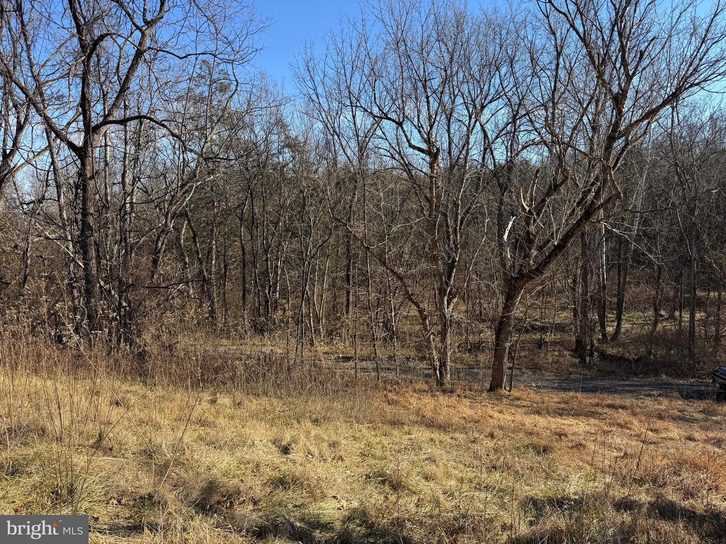 326 THUNDERBIRD RD, BENTONVILLE, Virginia 22610, ,Farm,For Sale,326 THUNDERBIRD RD,VAWR2013164 MLS # VAWR2013164 326 THUNDERBIRD RD, BENTONVILLE, Virginia 22610, ,Farm,For Sale,326 THUNDERBIRD RD,VAWR2013164 MLS # VAWR2013164