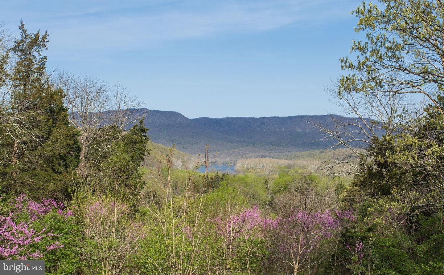 326 THUNDERBIRD RD, BENTONVILLE, Virginia 22610, ,Farm,For Sale,326 THUNDERBIRD RD,VAWR2013164 MLS # VAWR2013164 326 THUNDERBIRD RD, BENTONVILLE, Virginia 22610, ,Farm,For Sale,326 THUNDERBIRD RD,VAWR2013164 MLS # VAWR2013164