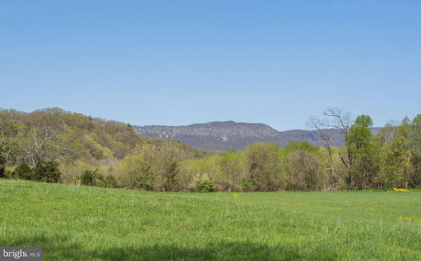 326 THUNDERBIRD RD, BENTONVILLE, Virginia 22610, ,Farm,For Sale,326 THUNDERBIRD RD,VAWR2013164 MLS # VAWR2013164 326 THUNDERBIRD RD, BENTONVILLE, Virginia 22610, ,Farm,For Sale,326 THUNDERBIRD RD,VAWR2013164 MLS # VAWR2013164