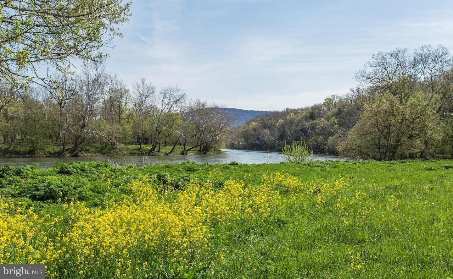 326 THUNDERBIRD RD, BENTONVILLE, Virginia 22610, ,Farm,For Sale,326 THUNDERBIRD RD,VAWR2013164 MLS # VAWR2013164 326 THUNDERBIRD RD, BENTONVILLE, Virginia 22610, ,Farm,For Sale,326 THUNDERBIRD RD,VAWR2013164 MLS # VAWR2013164