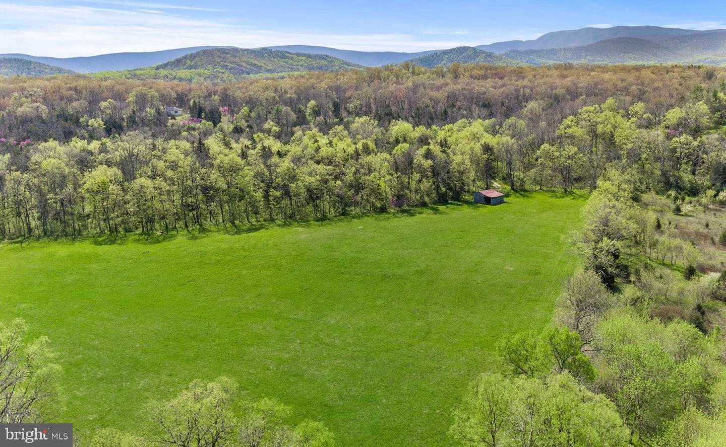 326 THUNDERBIRD RD, BENTONVILLE, Virginia 22610, ,Farm,For Sale,326 THUNDERBIRD RD,VAWR2013164 MLS # VAWR2013164 326 THUNDERBIRD RD, BENTONVILLE, Virginia 22610, ,Farm,For Sale,326 THUNDERBIRD RD,VAWR2013164 MLS # VAWR2013164