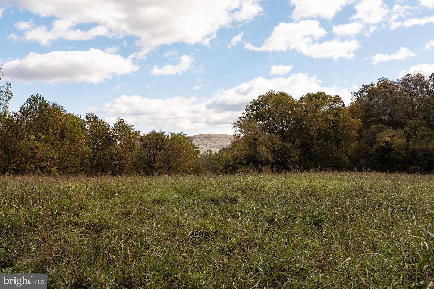 326 THUNDERBIRD RD, BENTONVILLE, Virginia 22610, ,Farm,For Sale,326 THUNDERBIRD RD,VAWR2013164 MLS # VAWR2013164 326 THUNDERBIRD RD, BENTONVILLE, Virginia 22610, ,Farm,For Sale,326 THUNDERBIRD RD,VAWR2013164 MLS # VAWR2013164