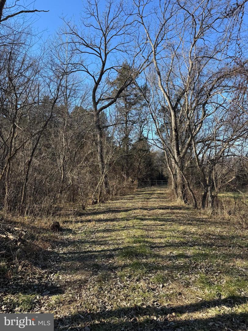 326 THUNDERBIRD RD, BENTONVILLE, Virginia 22610, ,Farm,For Sale,326 THUNDERBIRD RD,VAWR2013164 MLS # VAWR2013164 326 THUNDERBIRD RD, BENTONVILLE, Virginia 22610, ,Farm,For Sale,326 THUNDERBIRD RD,VAWR2013164 MLS # VAWR2013164