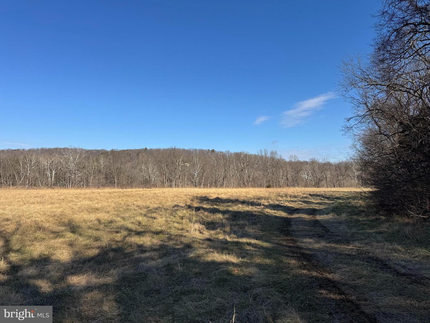 326 THUNDERBIRD RD, BENTONVILLE, Virginia 22610, ,Farm,For Sale,326 THUNDERBIRD RD,VAWR2013164 MLS # VAWR2013164 326 THUNDERBIRD RD, BENTONVILLE, Virginia 22610, ,Farm,For Sale,326 THUNDERBIRD RD,VAWR2013164 MLS # VAWR2013164