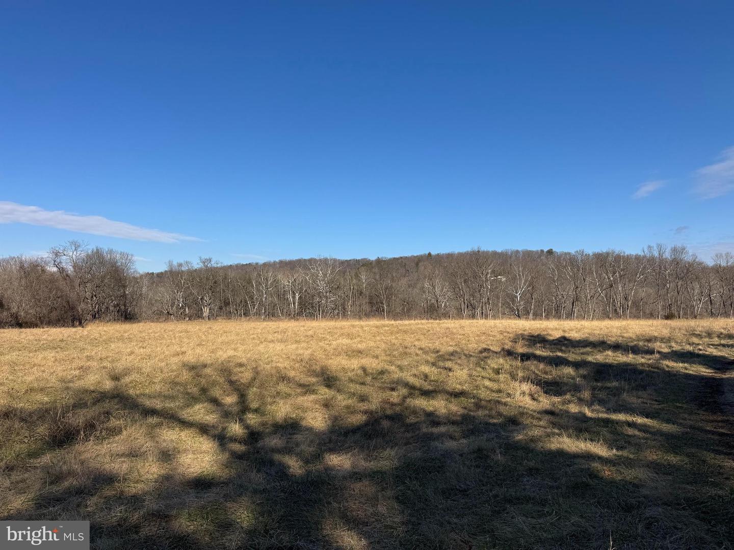 326 THUNDERBIRD RD, BENTONVILLE, Virginia 22610, ,Farm,For Sale,326 THUNDERBIRD RD,VAWR2013164 MLS # VAWR2013164 326 THUNDERBIRD RD, BENTONVILLE, Virginia 22610, ,Farm,For Sale,326 THUNDERBIRD RD,VAWR2013164 MLS # VAWR2013164