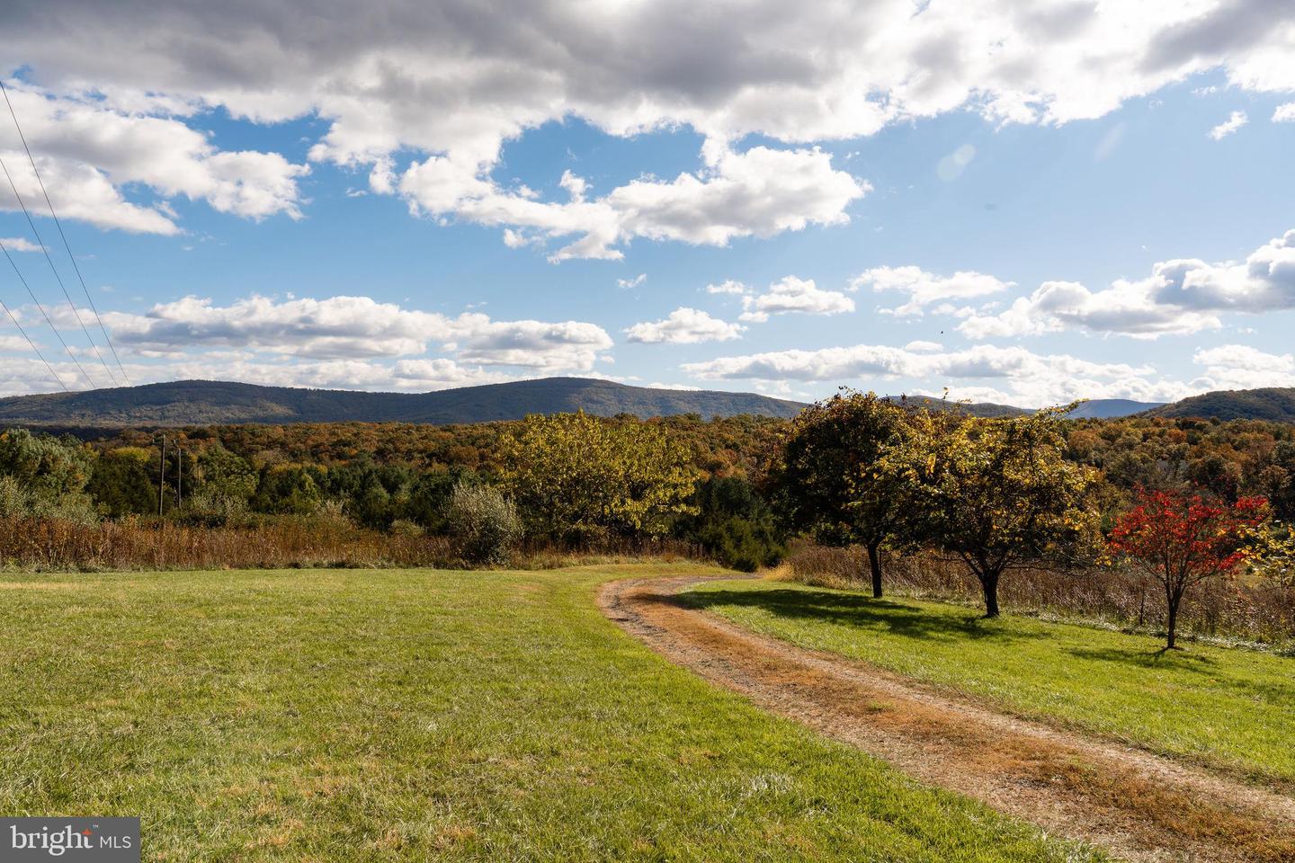 461 THUNDERBIRD RD, BENTONVILLE, Virginia 22610, ,Farm,For Sale,461 THUNDERBIRD RD,VAWR2013184 MLS # VAWR2013184