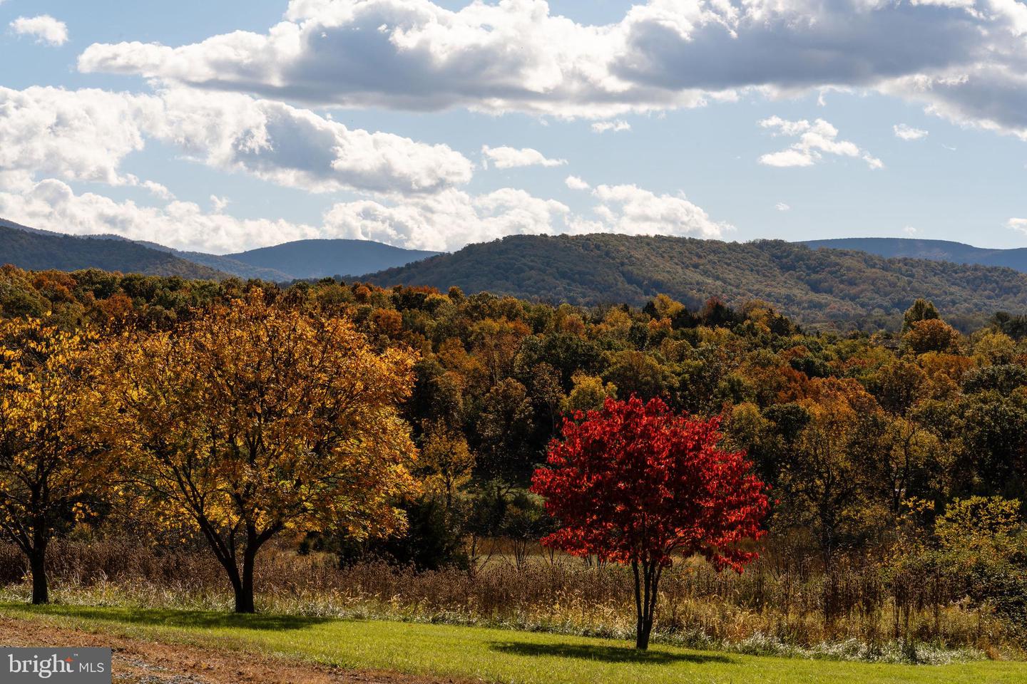 461 THUNDERBIRD RD, BENTONVILLE, Virginia 22610, ,Farm,For Sale,461 THUNDERBIRD RD,VAWR2013184 MLS # VAWR2013184