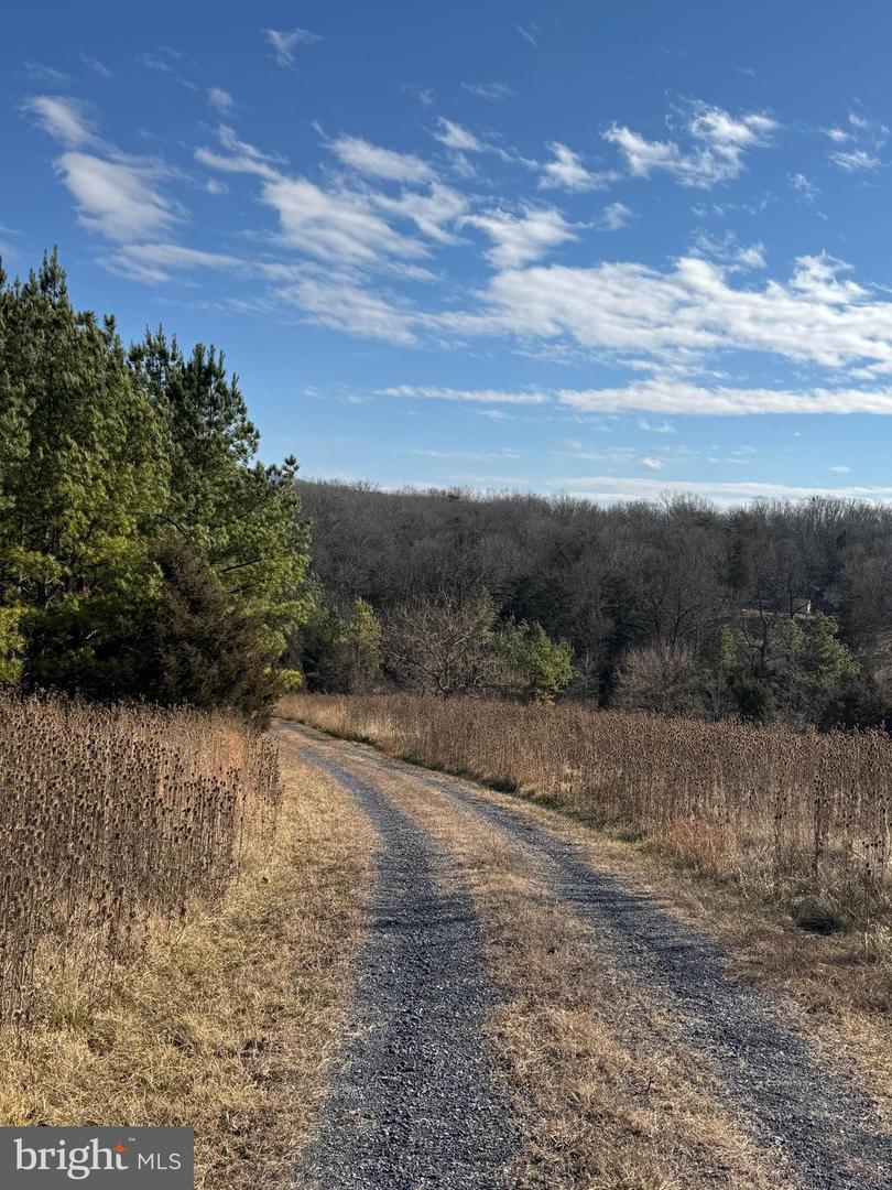 461 THUNDERBIRD RD, BENTONVILLE, Virginia 22610, ,Farm,For Sale,461 THUNDERBIRD RD,VAWR2013184 MLS # VAWR2013184