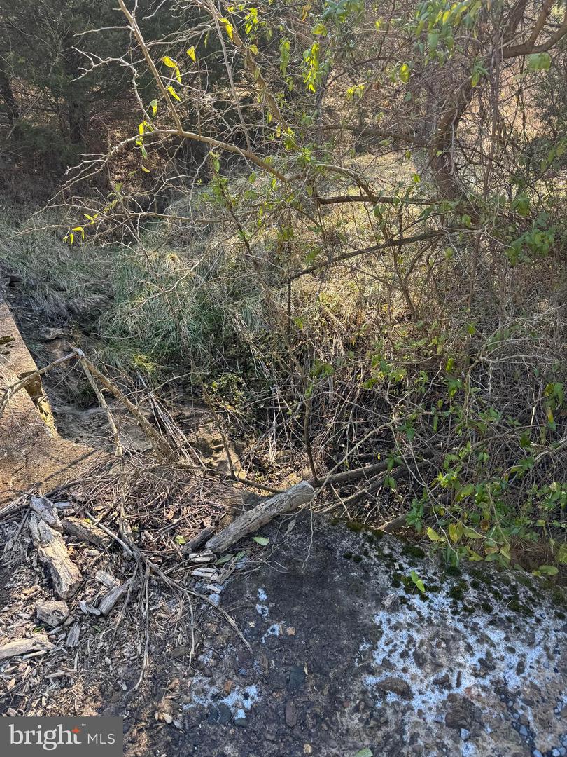 461 THUNDERBIRD RD, BENTONVILLE, Virginia 22610, ,Farm,For Sale,461 THUNDERBIRD RD,VAWR2013184 MLS # VAWR2013184