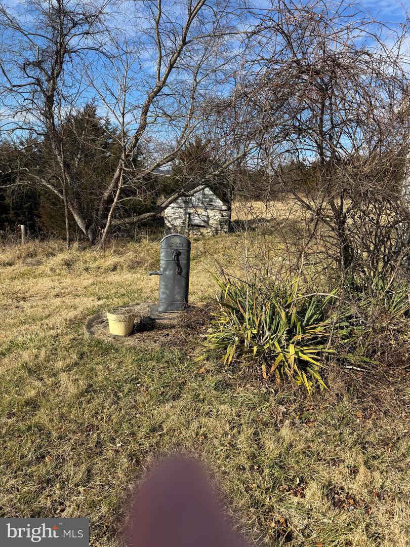 461 THUNDERBIRD RD, BENTONVILLE, Virginia 22610, ,Farm,For Sale,461 THUNDERBIRD RD,VAWR2013184 MLS # VAWR2013184