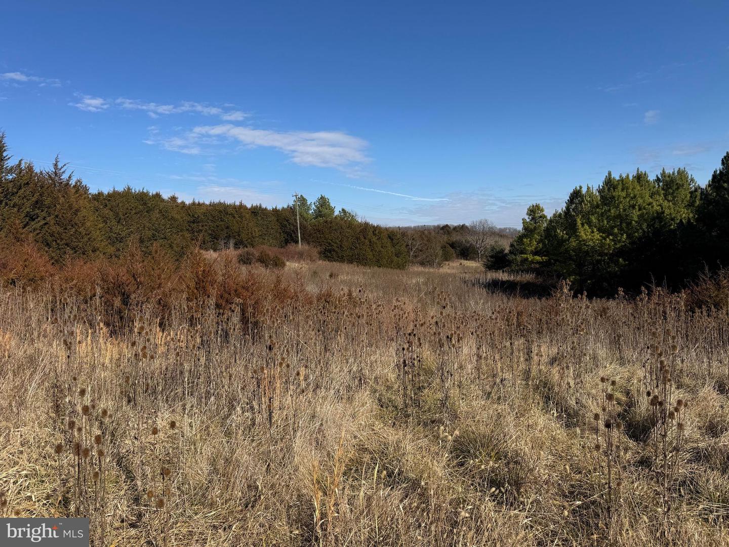 461 THUNDERBIRD RD, BENTONVILLE, Virginia 22610, ,Farm,For Sale,461 THUNDERBIRD RD,VAWR2013184 MLS # VAWR2013184