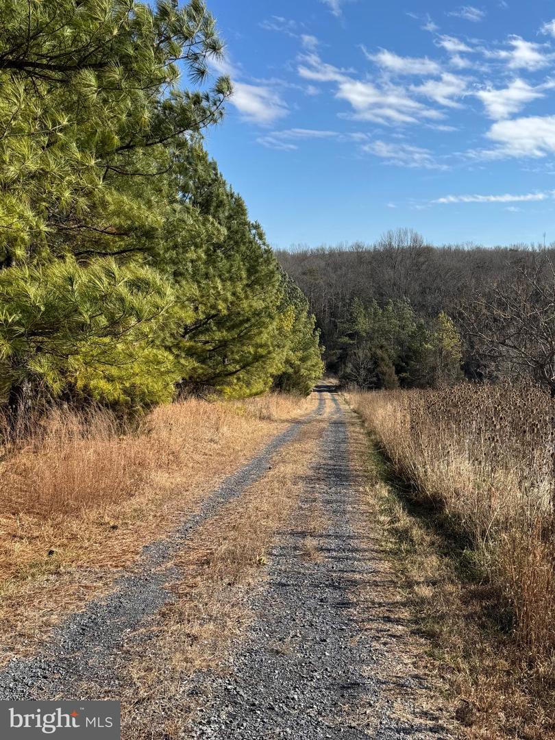 461 THUNDERBIRD RD, BENTONVILLE, Virginia 22610, ,Farm,For Sale,461 THUNDERBIRD RD,VAWR2013184 MLS # VAWR2013184