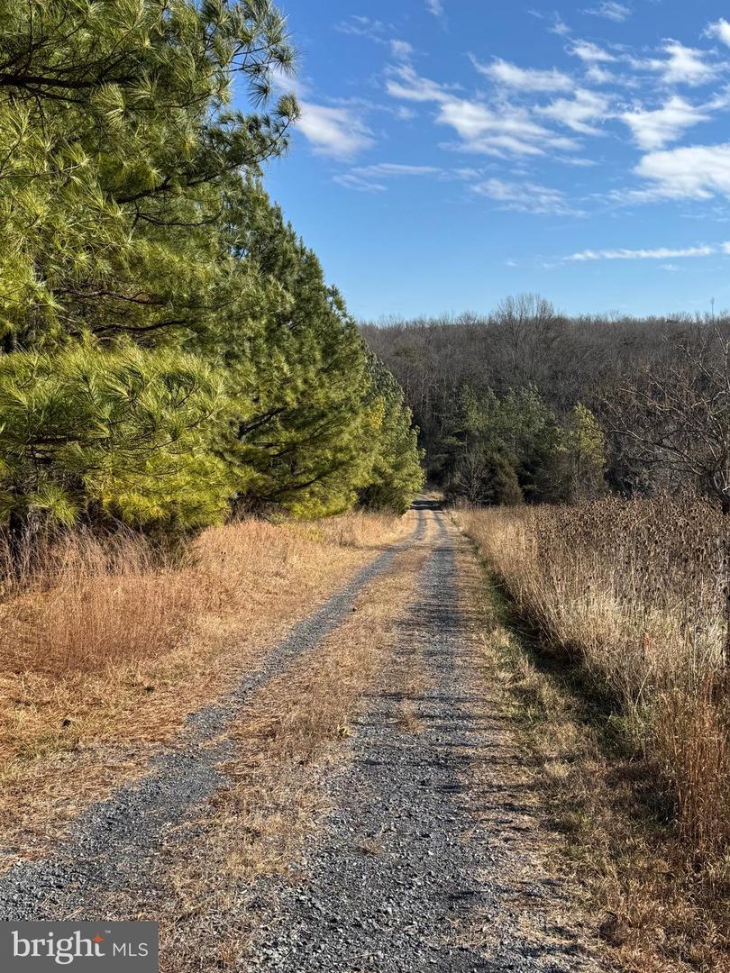 461 THUNDERBIRD RD, BENTONVILLE, Virginia 22610, ,Farm,For Sale,461 THUNDERBIRD RD,VAWR2013184 MLS # VAWR2013184
