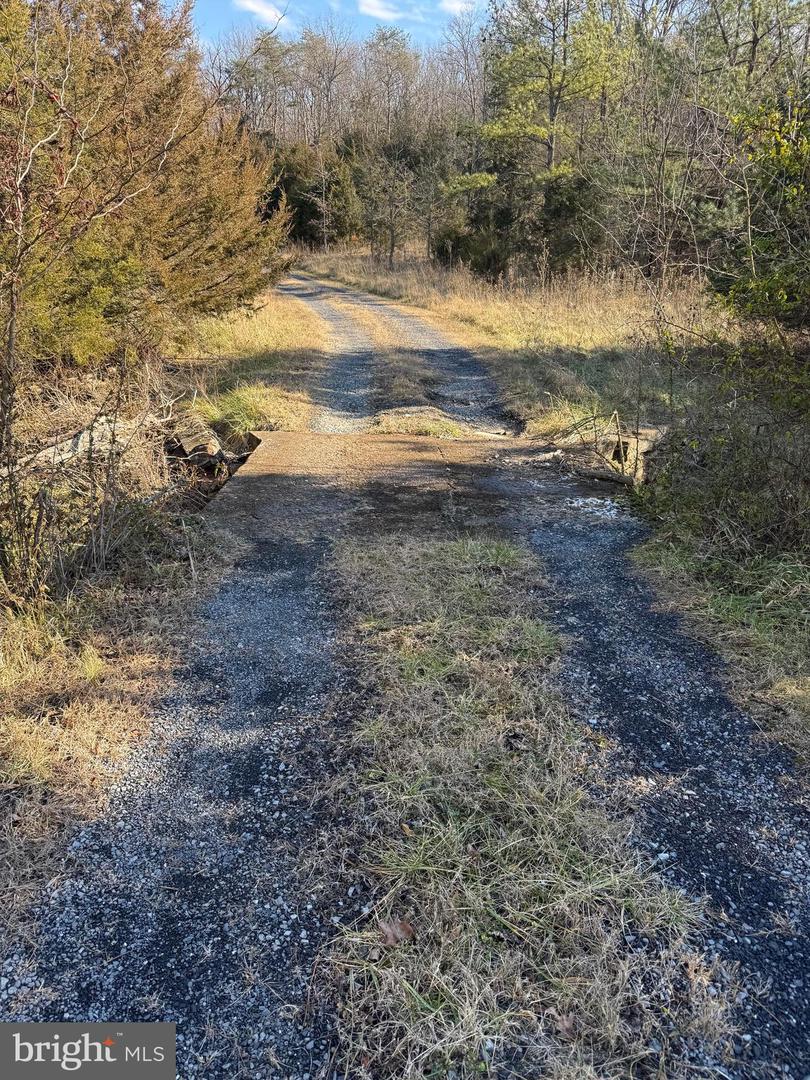 461 THUNDERBIRD RD, BENTONVILLE, Virginia 22610, ,Farm,For Sale,461 THUNDERBIRD RD,VAWR2013184 MLS # VAWR2013184