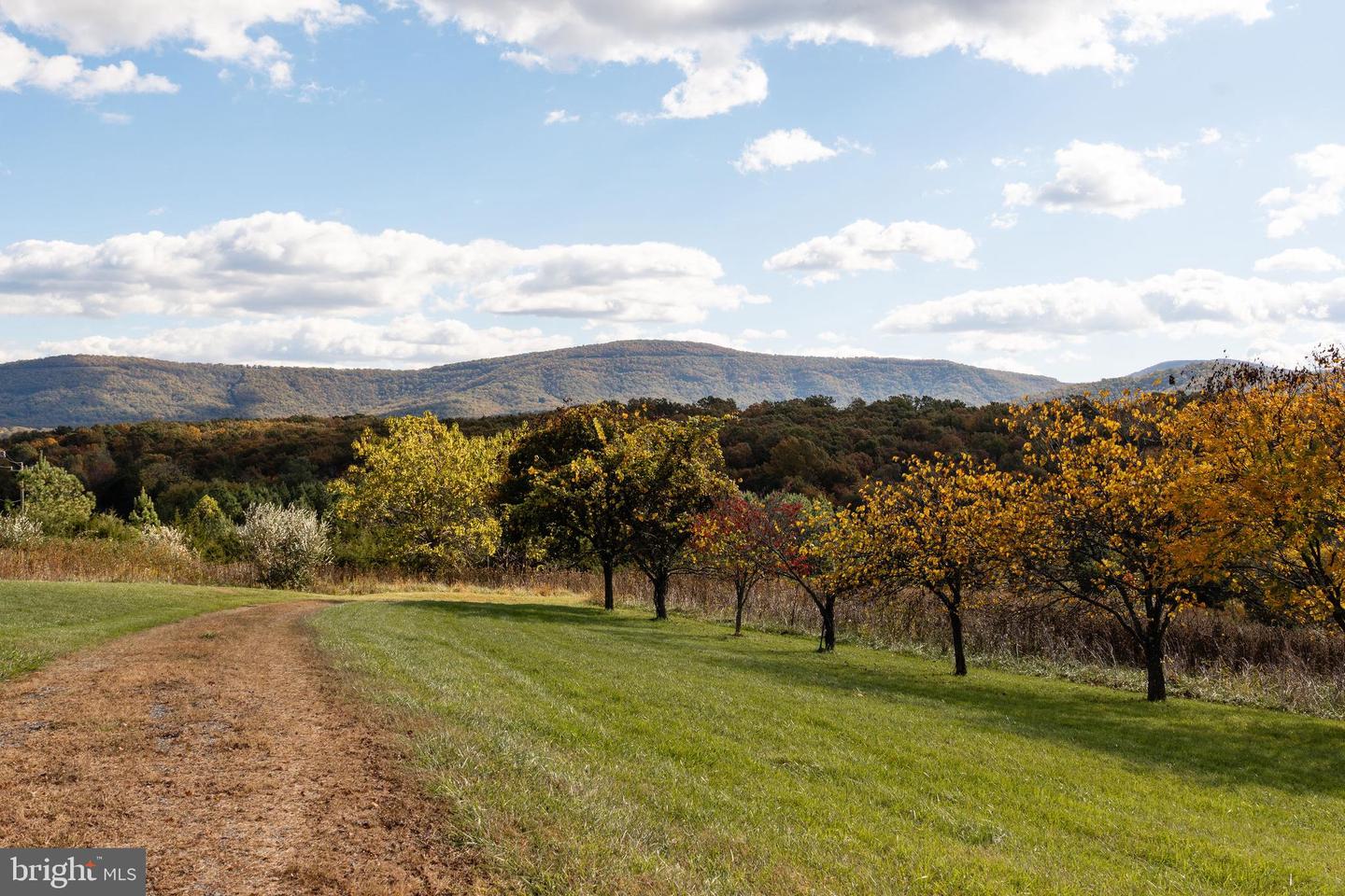 461 THUNDERBIRD RD, BENTONVILLE, Virginia 22610, ,Farm,For Sale,461 THUNDERBIRD RD,VAWR2013184 MLS # VAWR2013184