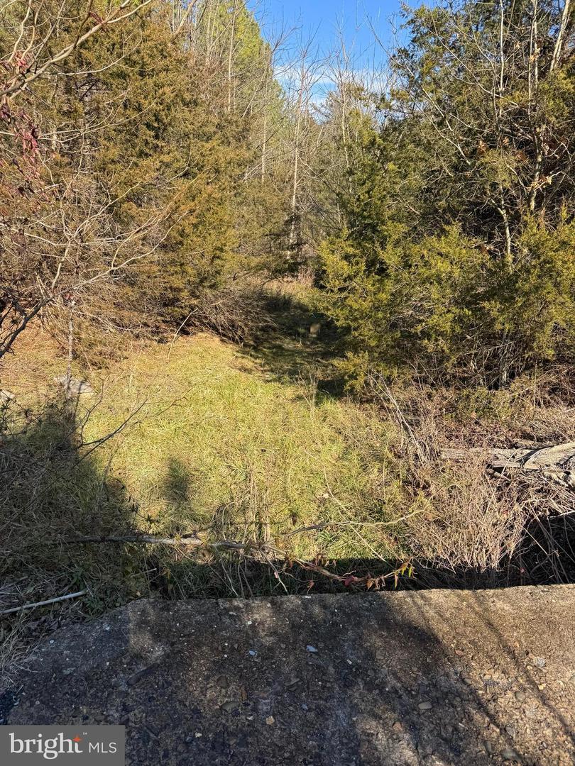 461 THUNDERBIRD RD, BENTONVILLE, Virginia 22610, ,Farm,For Sale,461 THUNDERBIRD RD,VAWR2013184 MLS # VAWR2013184