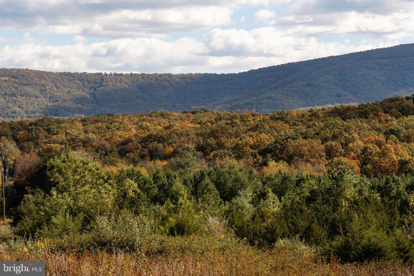 461 THUNDERBIRD RD, BENTONVILLE, Virginia 22610, ,Farm,For Sale,461 THUNDERBIRD RD,VAWR2013184 MLS # VAWR2013184