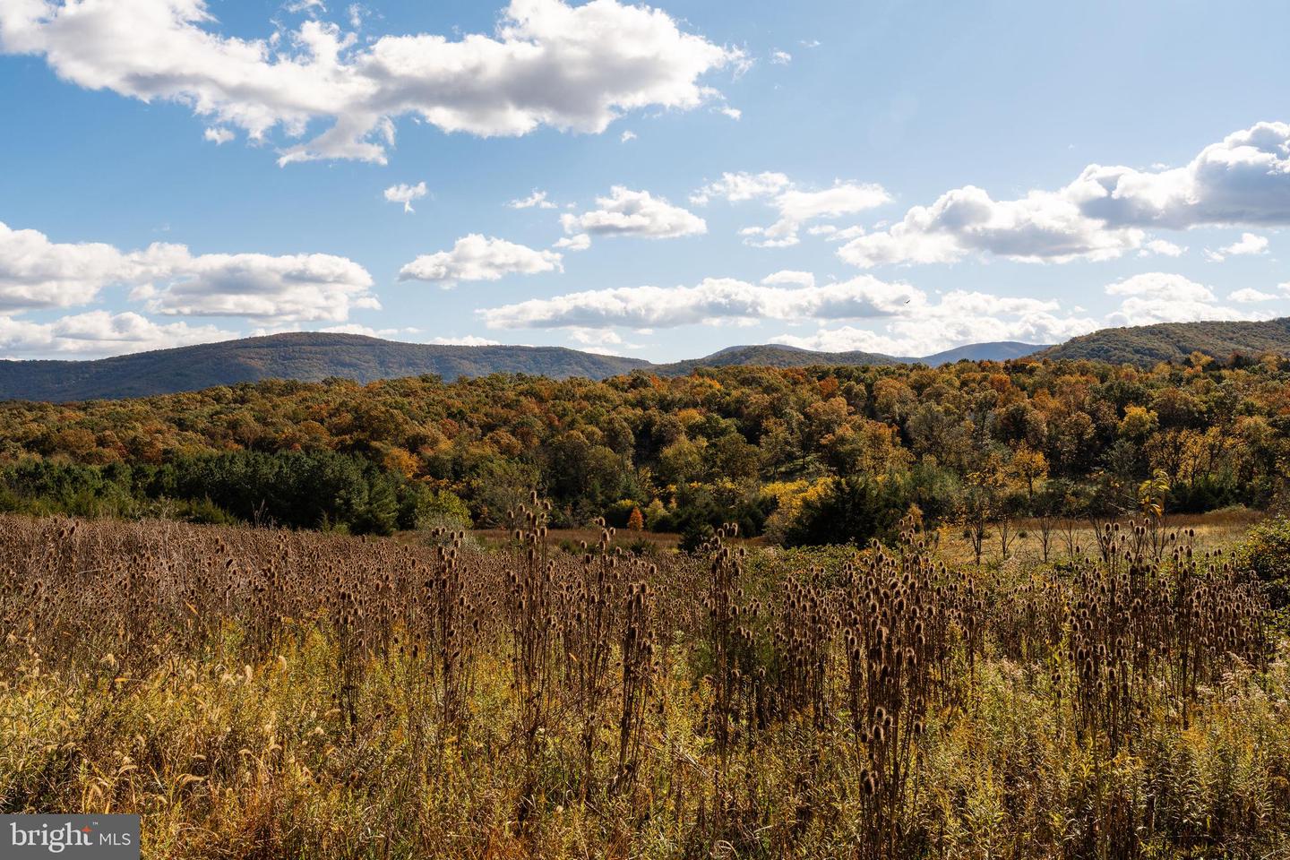 461 THUNDERBIRD RD, BENTONVILLE, Virginia 22610, 6 Bedrooms Bedrooms, ,3 BathroomsBathrooms,Residential,For Sale,461 THUNDERBIRD RD,VAWR2013182 MLS # VAWR2013182