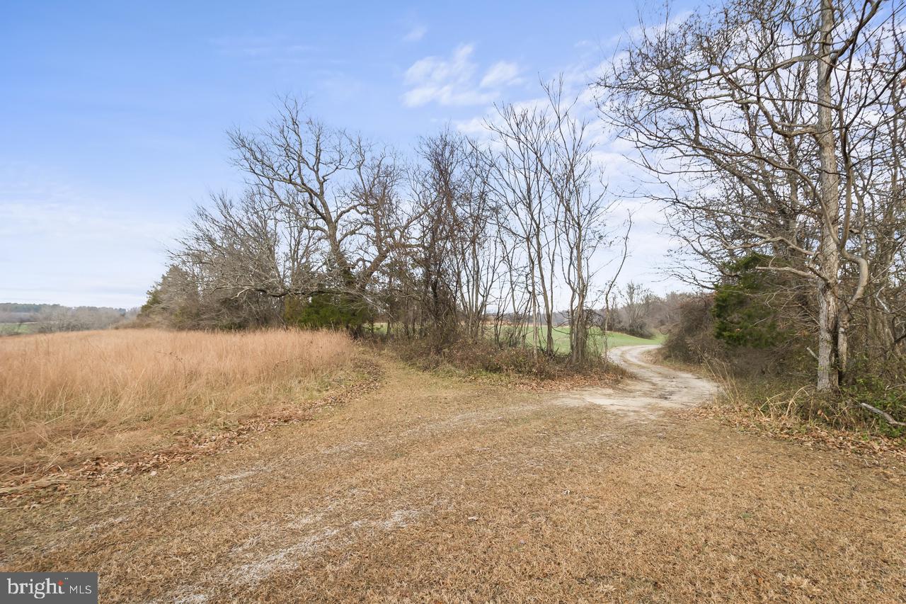 7389-7391 LEEDS MANOR RD, MARSHALL, Virginia 20115, ,Farm,For Sale,7389-7391 LEEDS MANOR RD,VAFQ2020202 MLS # VAFQ2020202