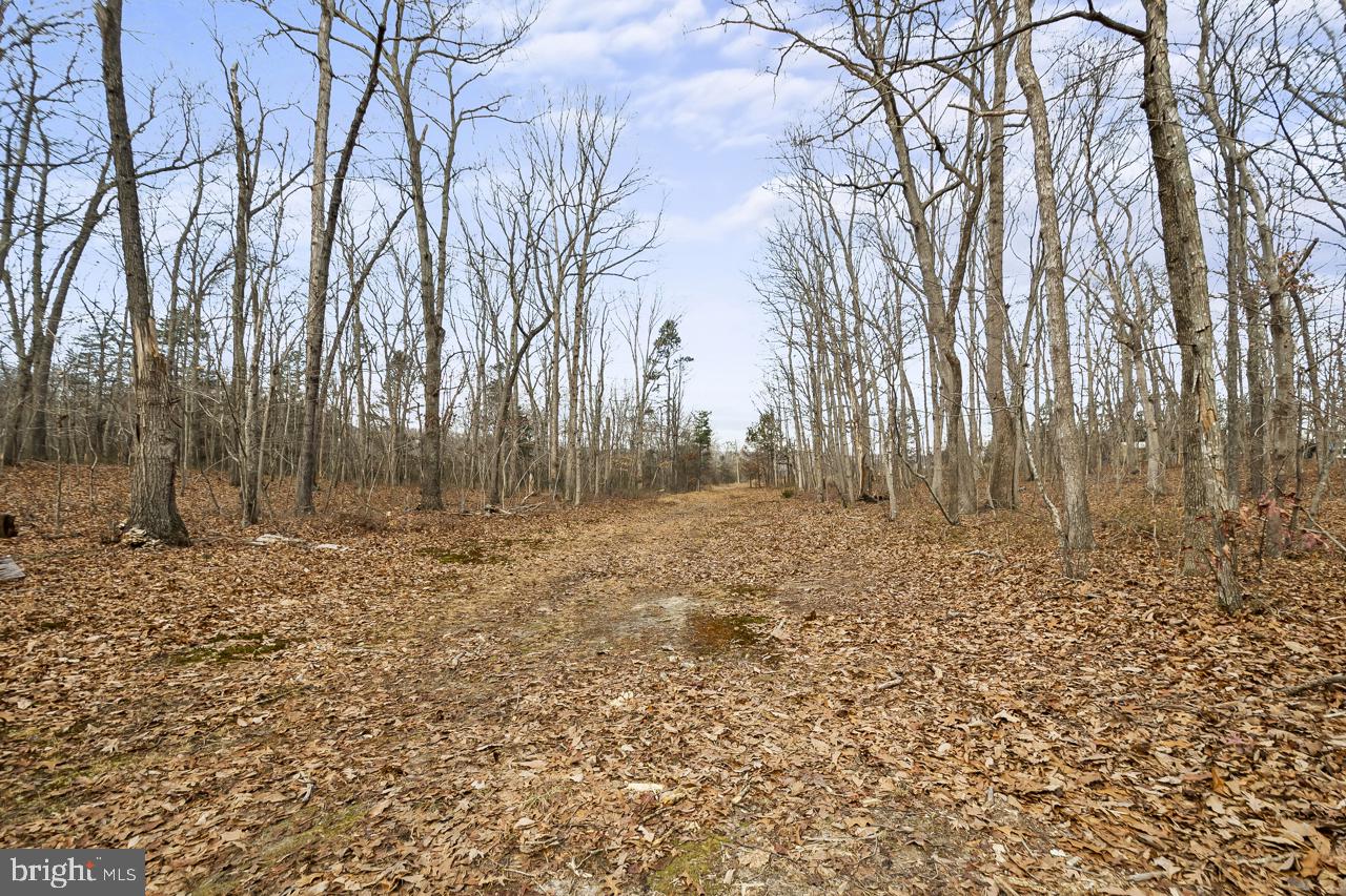 7389-7391 LEEDS MANOR RD, MARSHALL, Virginia 20115, ,Farm,For Sale,7389-7391 LEEDS MANOR RD,VAFQ2020202 MLS # VAFQ2020202