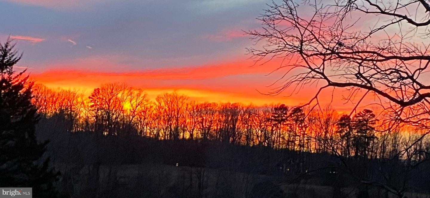 7389-7391 LEEDS MANOR RD, MARSHALL, Virginia 20115, ,Farm,For Sale,7389-7391 LEEDS MANOR RD,VAFQ2020202 MLS # VAFQ2020202