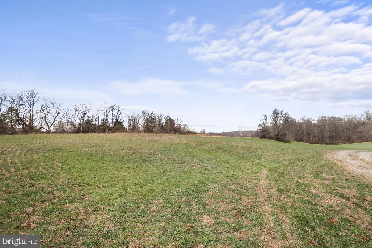 7389-7391 LEEDS MANOR RD, MARSHALL, Virginia 20115, ,Farm,For Sale,7389-7391 LEEDS MANOR RD,VAFQ2020202 MLS # VAFQ2020202
