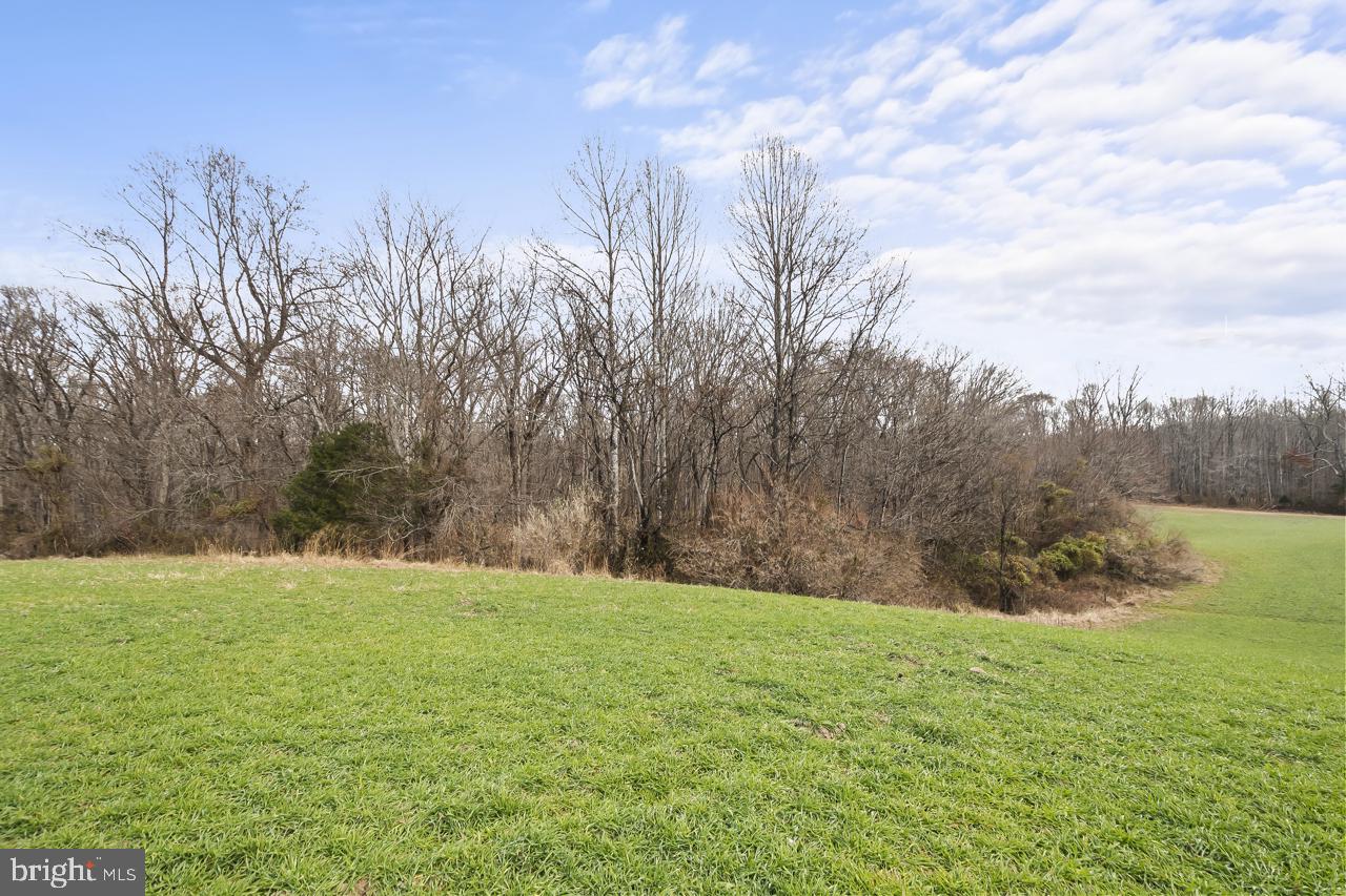 7389-7391 LEEDS MANOR RD, MARSHALL, Virginia 20115, ,Farm,For Sale,7389-7391 LEEDS MANOR RD,VAFQ2020202 MLS # VAFQ2020202