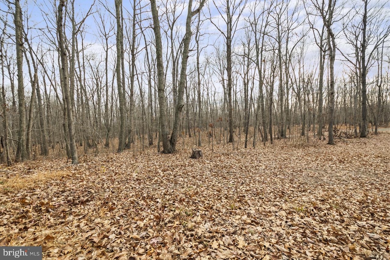 7389 LEEDS MANOR RD, MARSHALL, Virginia 20115, 3 Bedrooms Bedrooms, ,2 BathroomsBathrooms,Residential,For Sale,7389 LEEDS MANOR RD,VAFQ2020196 MLS # VAFQ2020196 7389 LEEDS MANOR RD, MARSHALL, Virginia 20115, 3 Bedrooms Bedrooms, ,2 BathroomsBathrooms,Residential,For Sale,7389 LEEDS MANOR RD,VAFQ2020196 MLS # VAFQ2020196