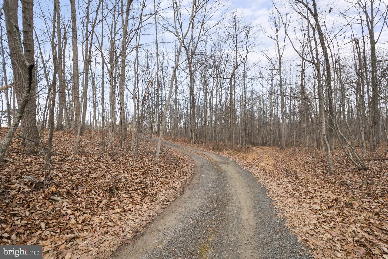 7389 LEEDS MANOR RD, MARSHALL, Virginia 20115, 3 Bedrooms Bedrooms, ,2 BathroomsBathrooms,Residential,For Sale,7389 LEEDS MANOR RD,VAFQ2020196 MLS # VAFQ2020196 7389 LEEDS MANOR RD, MARSHALL, Virginia 20115, 3 Bedrooms Bedrooms, ,2 BathroomsBathrooms,Residential,For Sale,7389 LEEDS MANOR RD,VAFQ2020196 MLS # VAFQ2020196