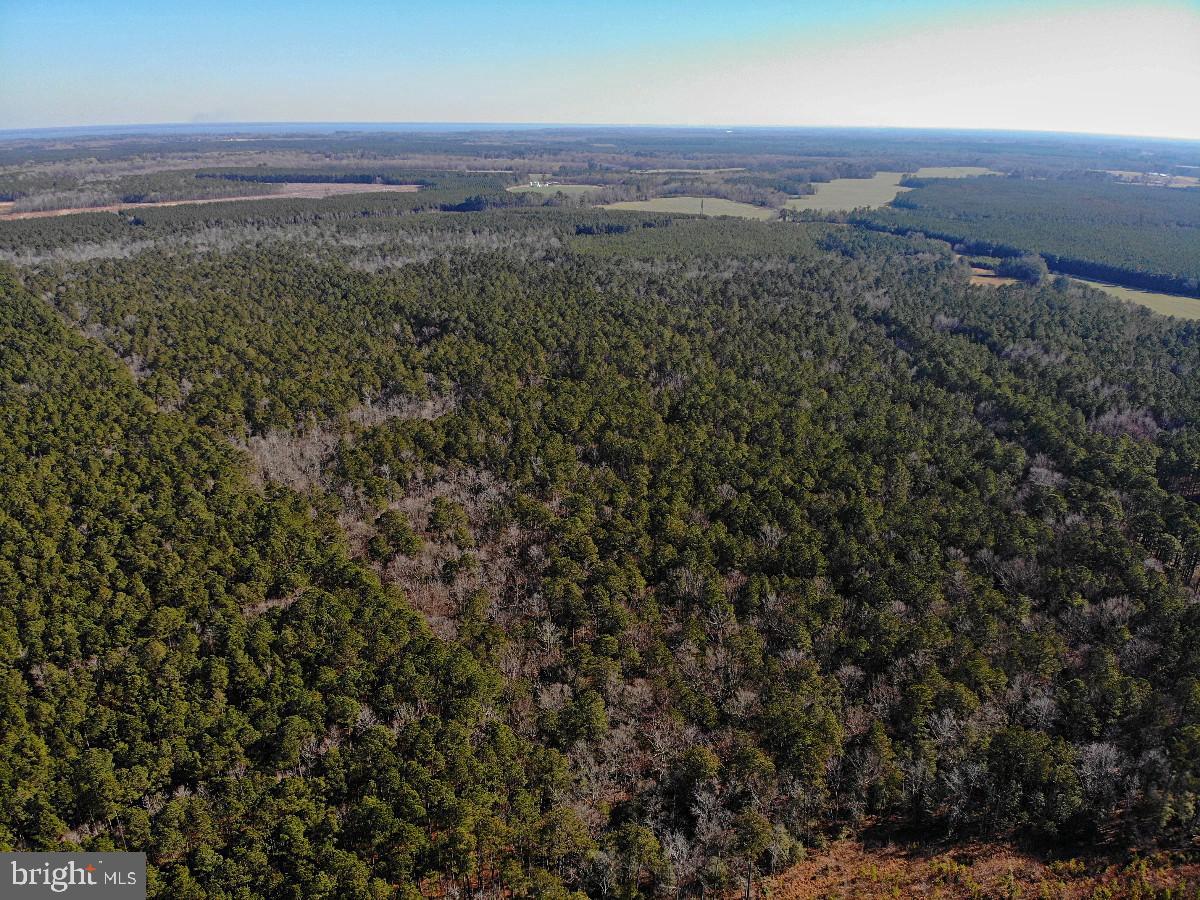 0 BURWELLS BAY RD, SMITHFIELD, Virginia 23430, ,Farm,For Sale,0 BURWELLS BAY RD,VAIW2000062 MLS # VAIW2000062