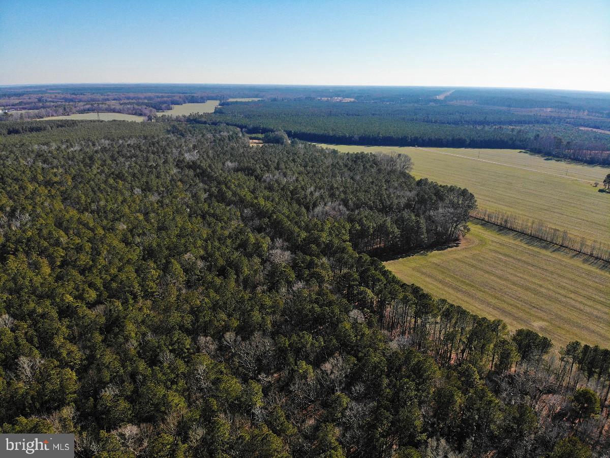 0 BURWELLS BAY RD, SMITHFIELD, Virginia 23430, ,Farm,For Sale,0 BURWELLS BAY RD,VAIW2000062 MLS # VAIW2000062