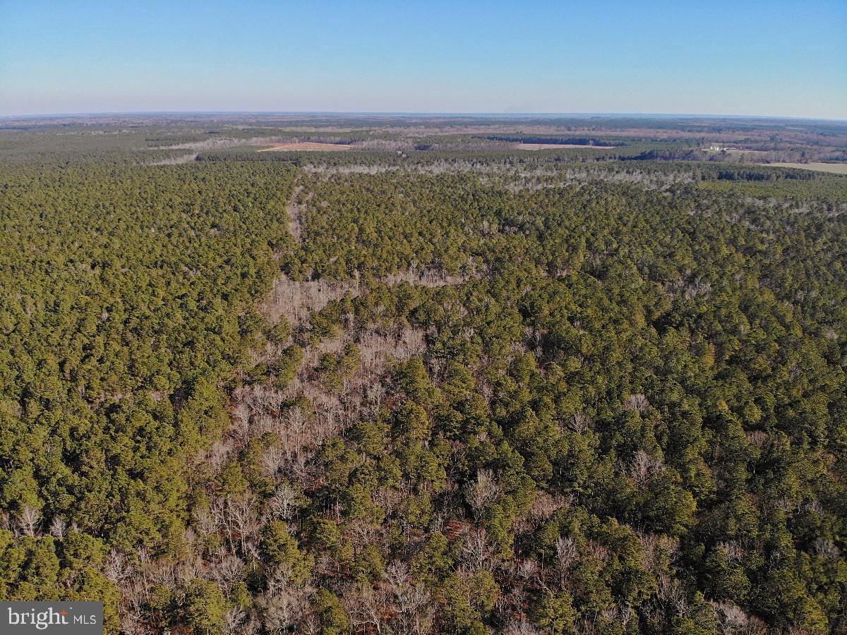 0 BURWELLS BAY RD, SMITHFIELD, Virginia 23430, ,Farm,For Sale,0 BURWELLS BAY RD,VAIW2000062 MLS # VAIW2000062