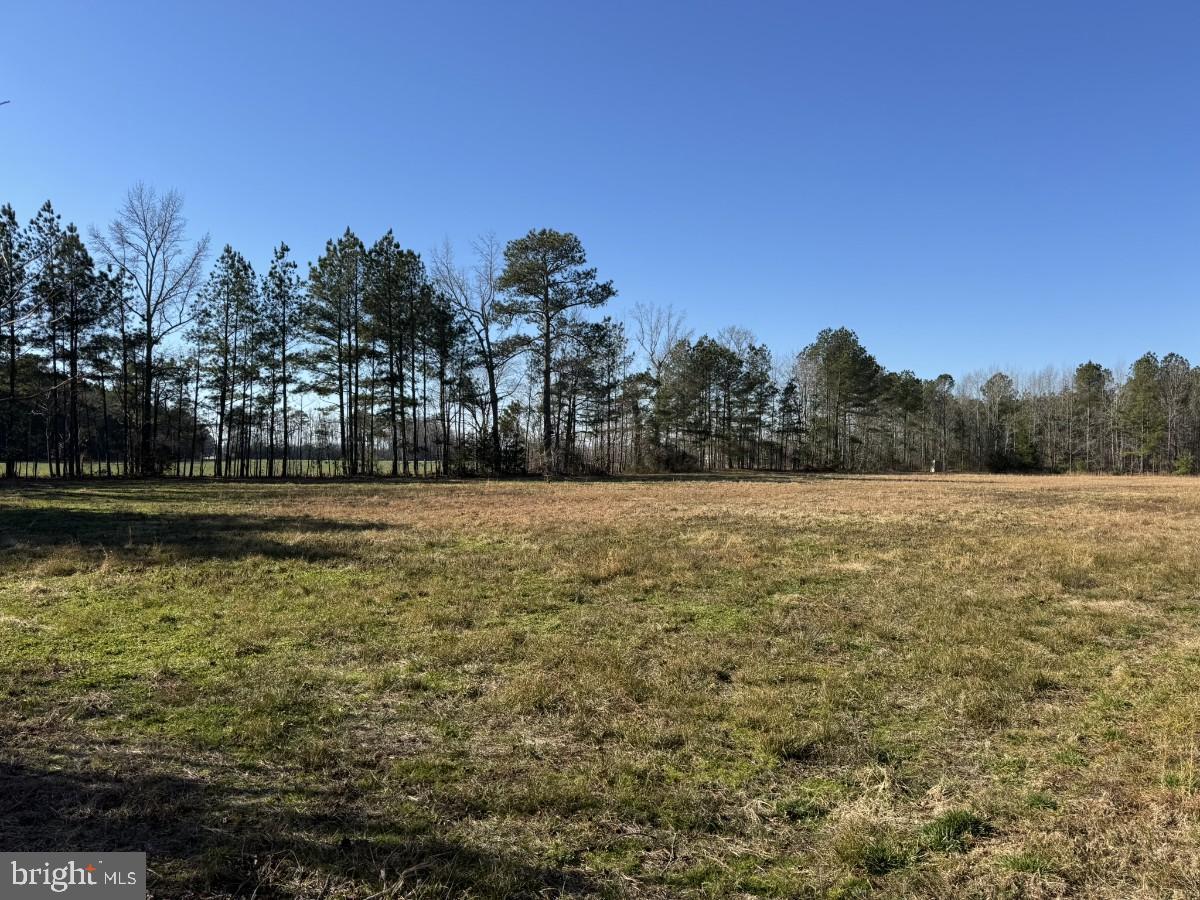 0 BURWELLS BAY RD, SMITHFIELD, Virginia 23430, ,Farm,For Sale,0 BURWELLS BAY RD,VAIW2000062 MLS # VAIW2000062