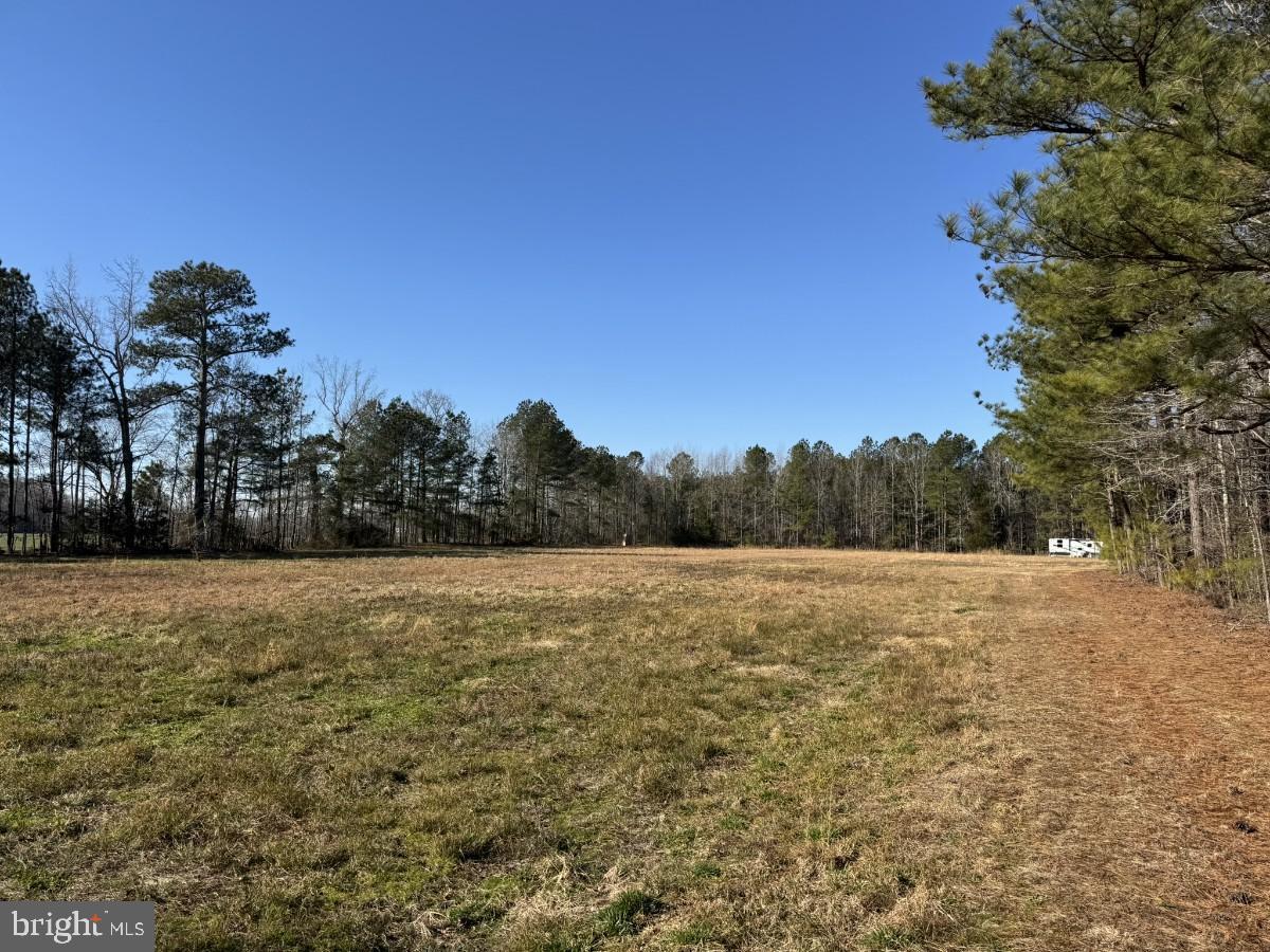 0 BURWELLS BAY RD, SMITHFIELD, Virginia 23430, ,Farm,For Sale,0 BURWELLS BAY RD,VAIW2000062 MLS # VAIW2000062