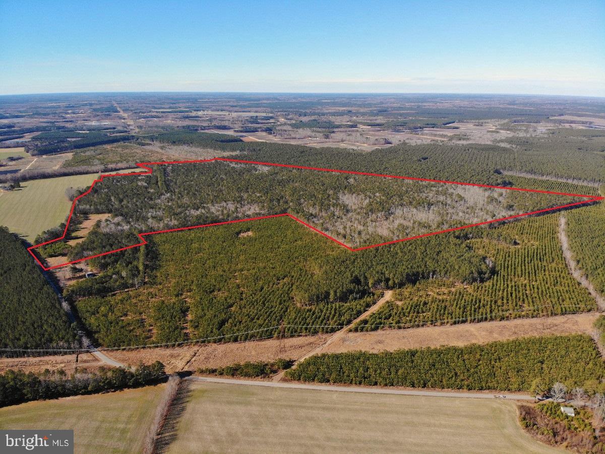 0 BURWELLS BAY RD, SMITHFIELD, Virginia 23430, ,Farm,For Sale,0 BURWELLS BAY RD,VAIW2000062 MLS # VAIW2000062