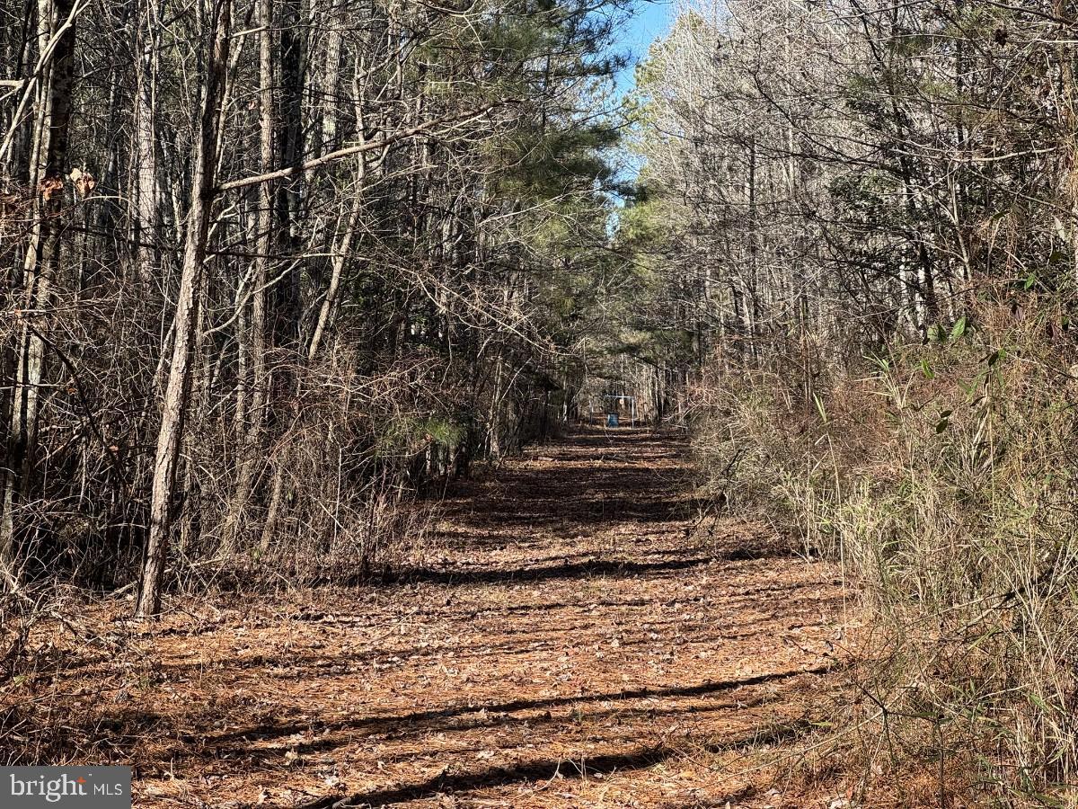 0 BURWELLS BAY RD, SMITHFIELD, Virginia 23430, ,Farm,For Sale,0 BURWELLS BAY RD,VAIW2000062 MLS # VAIW2000062