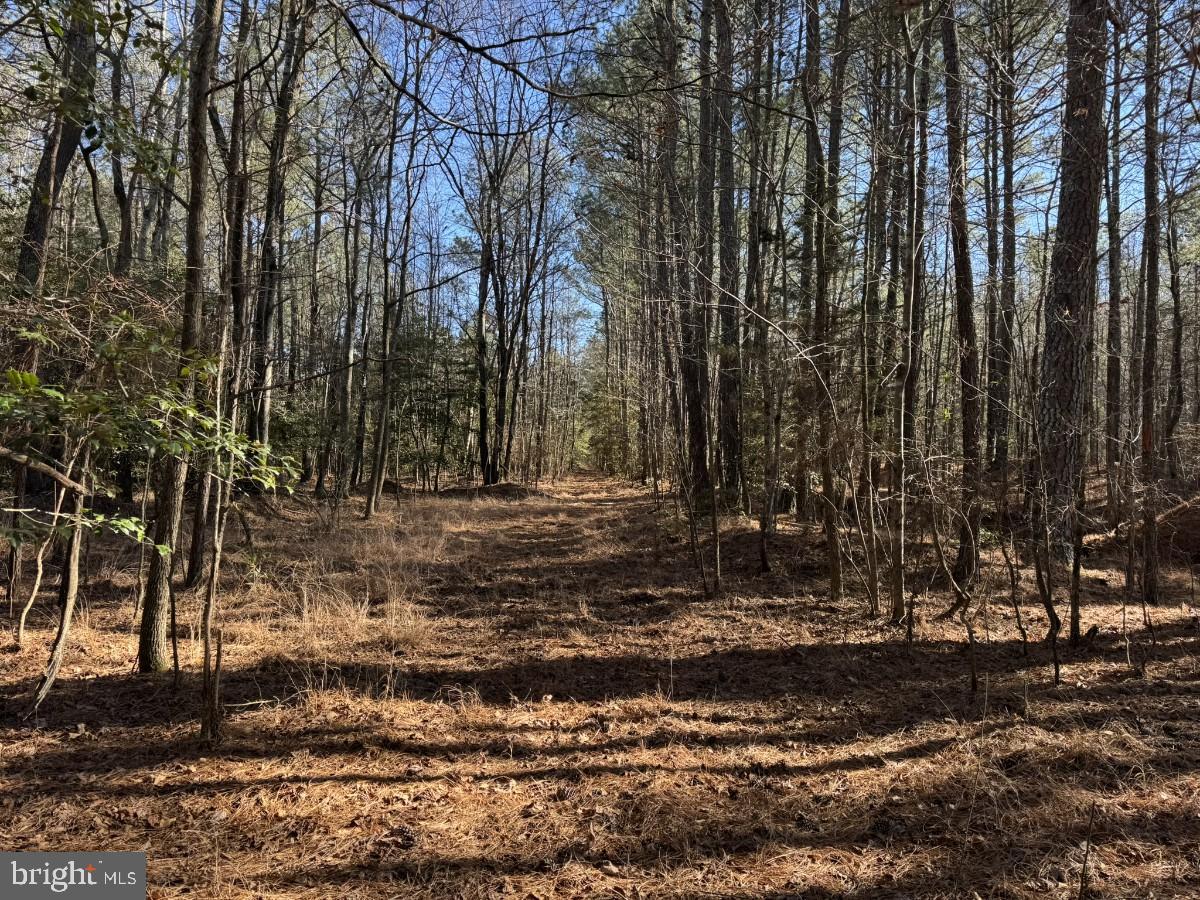 0 BURWELLS BAY RD, SMITHFIELD, Virginia 23430, ,Farm,For Sale,0 BURWELLS BAY RD,VAIW2000062 MLS # VAIW2000062