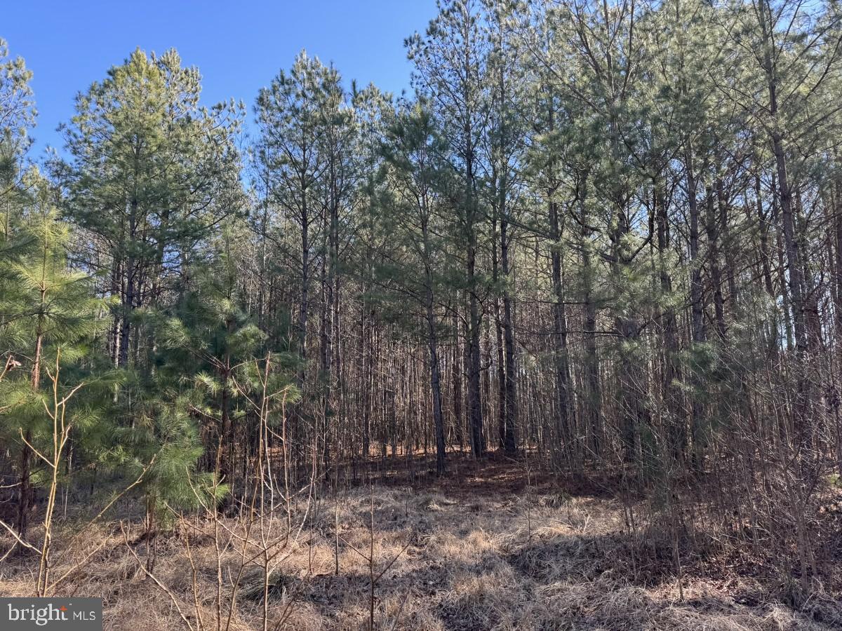 0 BURWELLS BAY RD, SMITHFIELD, Virginia 23430, ,Farm,For Sale,0 BURWELLS BAY RD,VAIW2000062 MLS # VAIW2000062