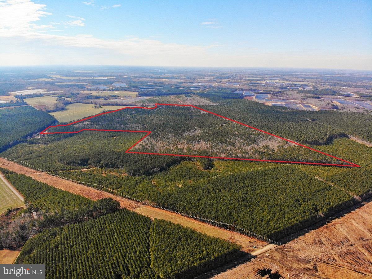 0 BURWELLS BAY RD, SMITHFIELD, Virginia 23430, ,Farm,For Sale,0 BURWELLS BAY RD,VAIW2000062 MLS # VAIW2000062